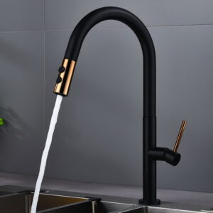 Kitchen Fauce-004