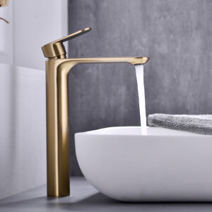 Basin Fauce-006