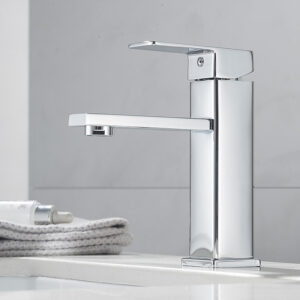 Basin Fauce-001