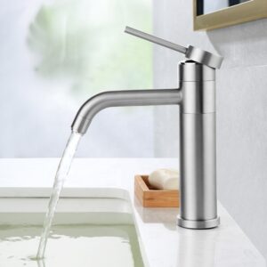 Basin Fauce-002