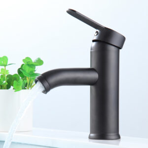 Basin Fauce-003