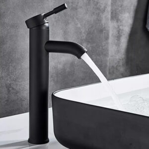 Basin Fauce-004