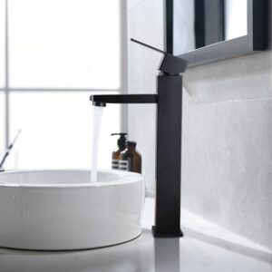 Basin Fauce-005