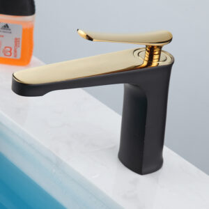 Basin Fauce-007
