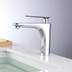 Basin Fauce-008