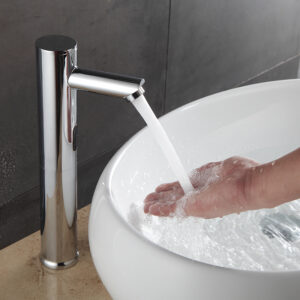Basin Fauce-009