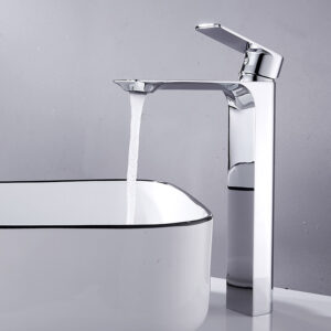 Basin Fauce-011