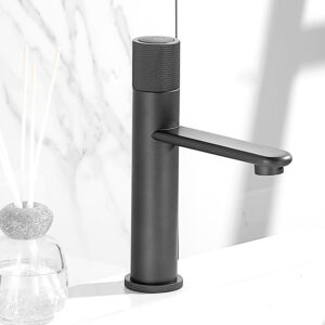 Basin Fauce-012