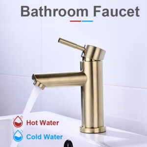Basin Fauce-013