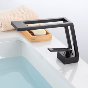 Basin Fauce-014