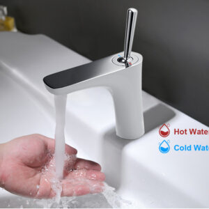 Basin Fauce-015