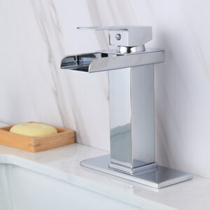 Basin Fauce-016