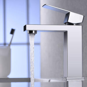 Basin Fauce-018