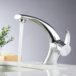Basin Fauce-019
