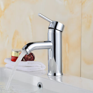 Basin Fauce-020