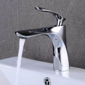 Basin Fauce-023