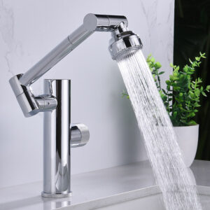 Basin Fauce-026