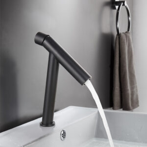 Basin Fauce-027
