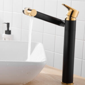 Basin Fauce-028