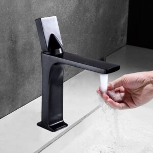 Basin Fauce-041