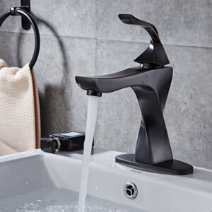 Basin Fauce-044