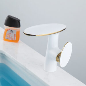 Basin Fauce-047