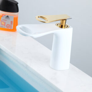 Basin Fauce-051