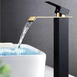 Basin Fauce-057