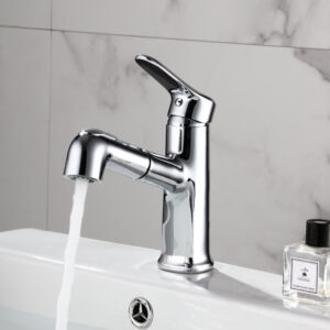 Basin Fauce-059