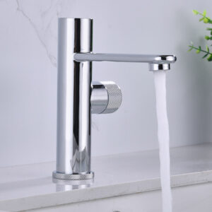 Basin Fauce-060