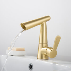Basin Fauce-061