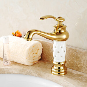 Basin Fauce-068
