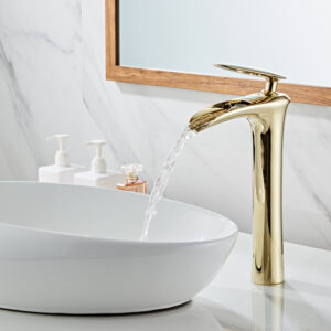 Basin Fauce-017