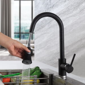 Kitchen Fauce-011