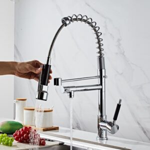 Kitchen Fauce-023
