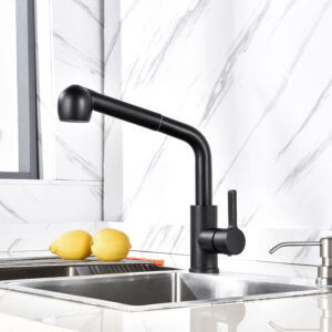 Kitchen Fauce-034